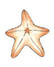 starfishsmall.JPG (4386 bytes)